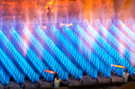 Tebworth gas fired boilers